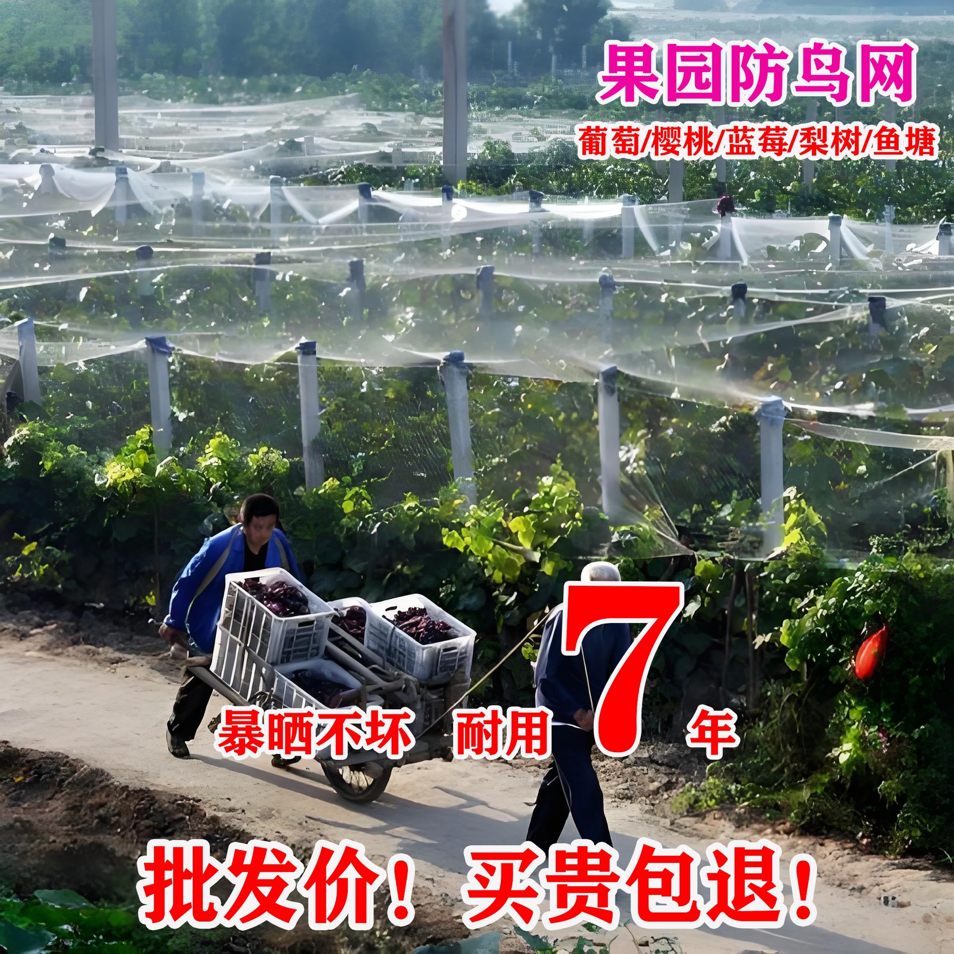 昌盈天网的鱼塘葡萄窗户大棚防鸟网果园樱桃树果树用阳台尼龙线防