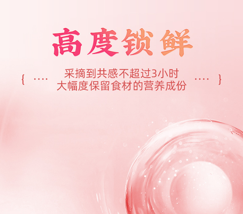 Apple Rose Lotus Leaf Tea Bag Blend with Mulberry Cassia Seed 5g Filter Bags Sugar Free Herbal Tea in use