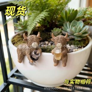 �羳��Ʒ Cute Highland Cow ��Ȥ�ߵ�ţ�����b�֬��ˇƷ�[��