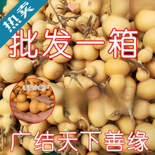 ���J�؃r����������С���J��Ʒ���lС���ְѼ���Ȼ���J�������