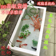 客厅阳台家用1米大型鱼缸龟缸加过滤器水箱金鱼锦鲤池可