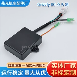 点火器;发电机及配件;电子调节器