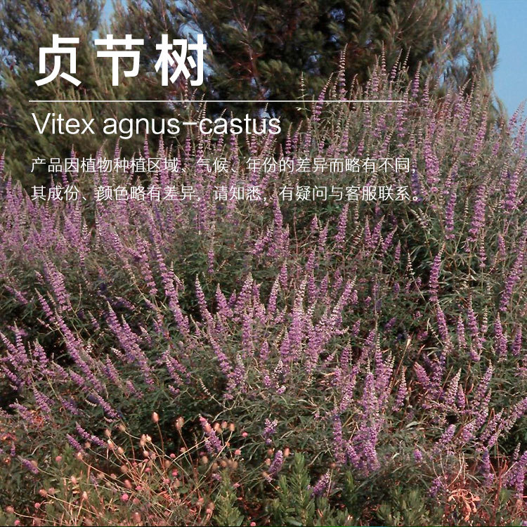 ���������  ����� ������ȡ���������  ֲ�ﾫ������ ��ӭ�ɹ�