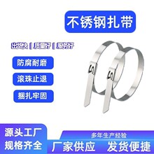 304���P�����4.6mm���ٴ��ù̶����������������������������P