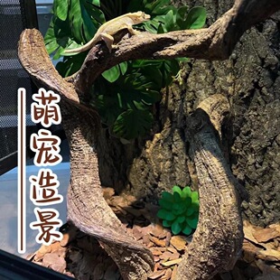 �����쾰��ɽ�٘�֦��ľ�^�������ٗl���x�������ز��b���ɽҰ��