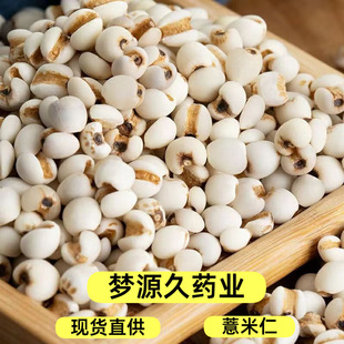 ��؛޲�����F�ݰ�޲��ɢ�b500�����l���]޲����޲����������s�Z