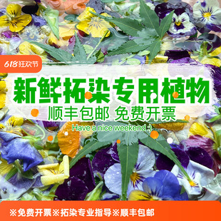 ֲ������Ⱦ�r�� ���ܲ��� �زݲ����N����ӡ�������r�Gֲ���~Ѻ��