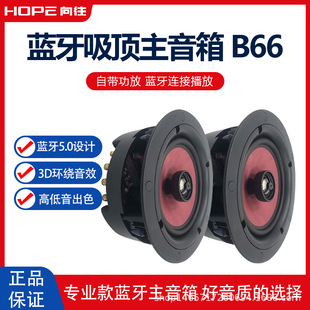 HOPE����B66�{��5.0�����푼�ͥǶ��ʽ������������������6��