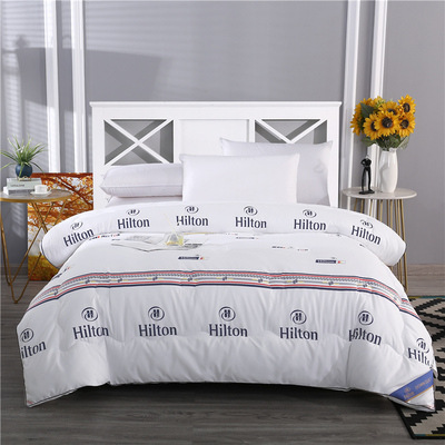 2FNM Silk Pillowcase Mulberry Silk Full Cotton Thick Winter Warm 3D Pillow Cover Dorm Single Spring and Autumn Seasonal Pillowcore