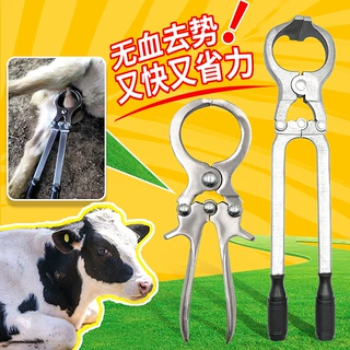 加重牛用无血不锈钢去势钳煽牛阉牛钳碳钢牛去势阉割钳去势钳