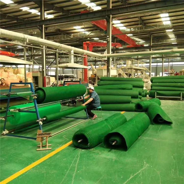 重庆绿化三维土工网垫三维植被价格三维土工网植草护坡生产厂家