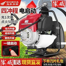 늆͸ݙCؓʽСͶ๦r_GXMڳݙC