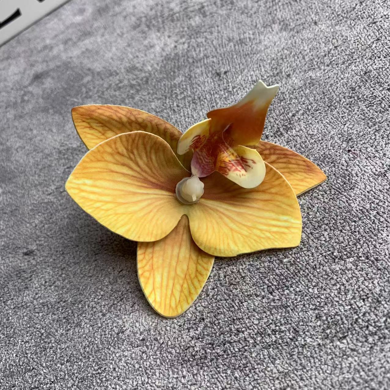 미니 호접란 꽃잎 노란색 1