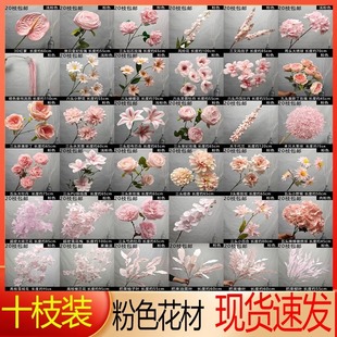 ��ʮ֦�b���S�����l�¿��ɫ����c�ٻ�Ī�λ��@�L��Y��