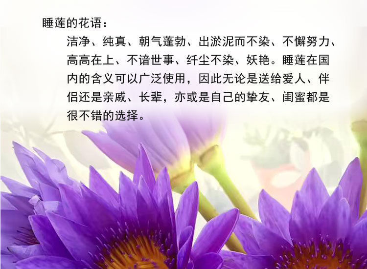 9f498f17-b8d8-427d-a6a4-7185d2937027.jpe