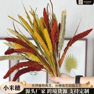 小米穗干花花束插花田园文艺ins家居装饰DIY摆件七夕节拍照道具等
