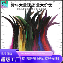 彩色羽毛公鸡尾毛舞台演出服装装饰DIY饰品面具翅膀材料