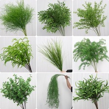 ��c���ľGɫ���滨ɭϵ����Gֲ�ٻ��~�����~�b��߼٘��~��ˇ