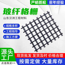 供应多种规格玻纤格栅50KN路面防裂加筋稳固EGA玻纤土工格栅
