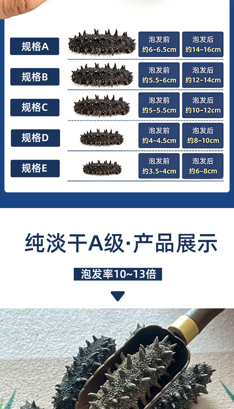 Pure Lightly Dried Liaoning Sea Cucumber 6-7 Year Grade A 50g Gift Box quality and texture