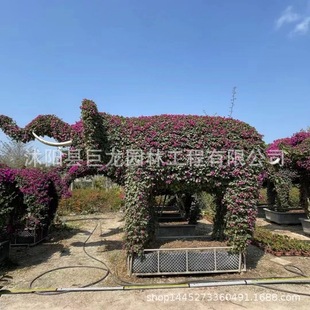 Dinosaur Shape, Dolphin Shape, Animal Shape, Bougainvillea National Emblem Shape, Pony, Elephant, Hippo, Giraffe