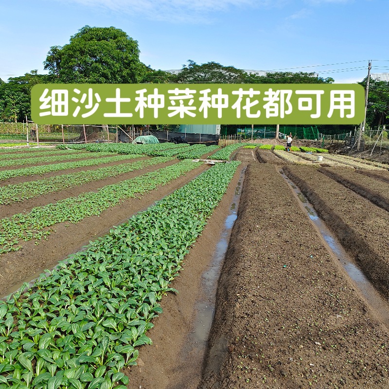 天然沙土沙壤土种菜种花土养花盆栽花卉种植土细沙土壤通用土包邮