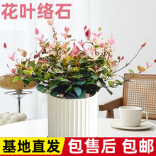 ���~�jʯ�ļ���ʻ������Բʽj�~���@�̨������GֲͥԺֲ�ﴹ��