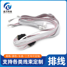 彩色/红白/全黑排线公母对接线2P4P6P8P ~ 24P端子线排线定做长度