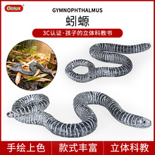 跨境儿童仿真动物模型玩具实心蚓螈盲裸蛇变色龙蜥蜴松鼠刺猬摆件