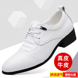 PZ2557 màu trắng