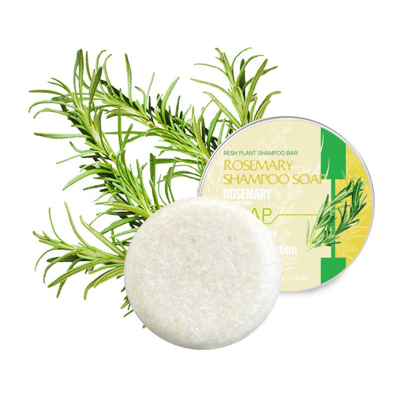 Transfronterizo polygonum jengibre champú jabón inglés champú jabón aceite esencial hombre jabón mano fábrica al por mayor en stock al por mayor