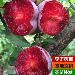 �������Ә���޽��ش�������������÷���������ϱ����N�������