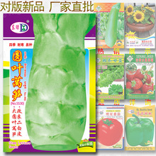 ߲˷Nӹ˾ļ׷Nؔ˷NƺܷNl-A~nSN