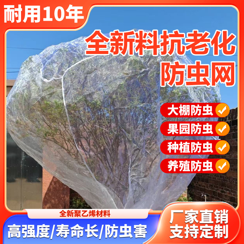 植物防虫网罩樱桃杨梅果树防鸟用网蔬菜大棚防鸟罩套袋网防鸟纱网