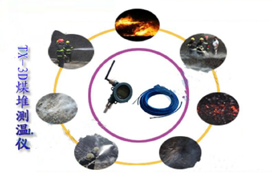 煤堆温度远程系统/煤堆测温仪测温探头3米 型号:TX-3D库号M121794