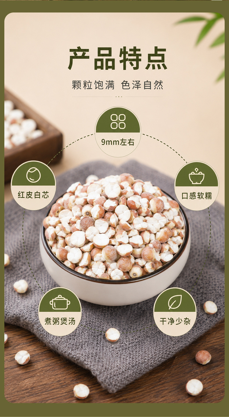 Organic Dried Gorgon Fruit Qian Shi 9mm Large Granules 500g Premium Red Skin Euryale Seeds quality and texture