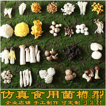 ��Ģ���Nʳ��Ұ�������վ��������^�@ˇ���^�����b[������