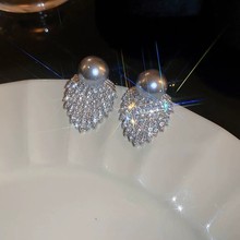 ���W�荘��~����ͬ��������h�p�ݸ�2025�¿�����鼆��ᔶ��Ʒ