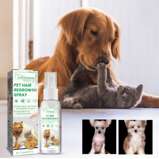 Yegbong pet hair booster cat and dog hair loss conditioning damaged hair follicle hair care spray