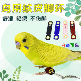 �B��Ƥ�_�h�_����W�^�_�ۭh������Ĳ��ڻ�Ƥϲ�o�ڰ˸�qƤ�_��