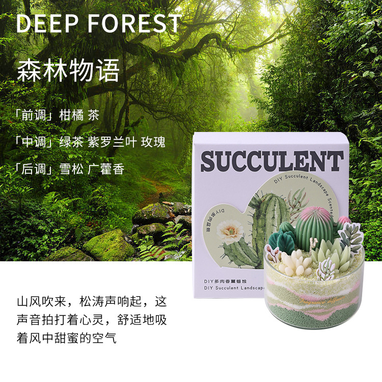 Serie de Velas Aromáticas de Suculentas DIY, Divertido Salón de Manualidades, Recuerdo con Forma de Cactus, Venta al por Mayor