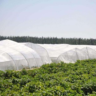 ���x�W�S��ֱ�N �羳�Ӻ���ܿ����⾀ ���@�����߲��Bֳͨ�þW