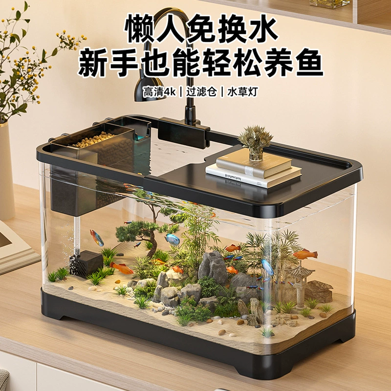 Широкий фильтр аквариум для домашнего домашнего небольшого экологического ландшафта