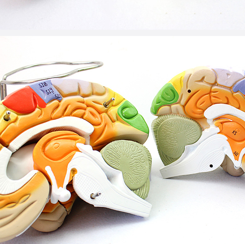 O1CN01cf5ZLh2Kk6XkRnjU7_!!3578