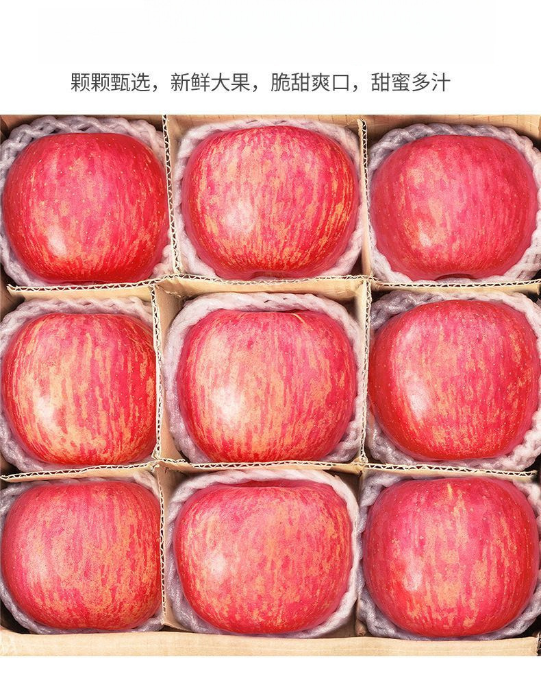 陕西苹果红富士脆甜不打蜡水果新鲜当季现摘冰糖心整箱批发价工厂