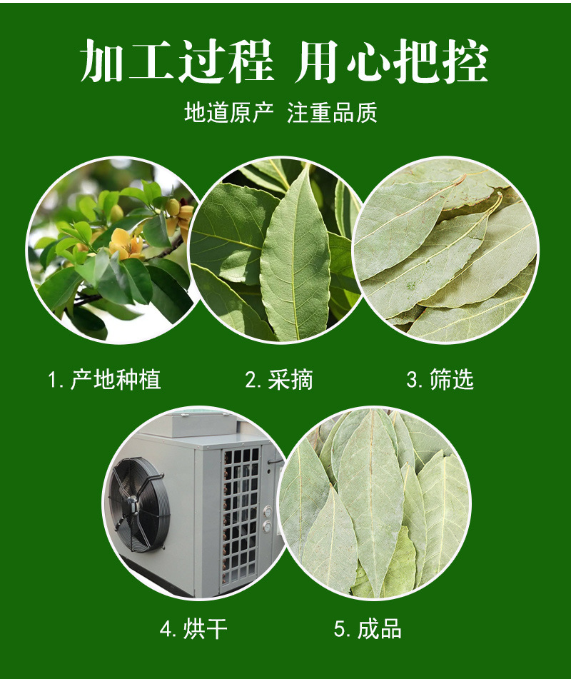 Xiang Ye (Laurus nobilis) — Dried Bay Laurel Leaves, First-Harvest Guangxi Culinary Herb, 500g preparation