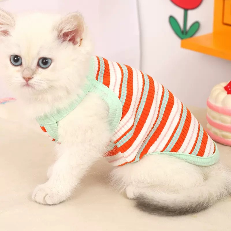 Moda color raya chaleco gato primavera y otoño verano delgada ropa para mascotas primavera en bebé gato anti-pelusa cómodo transpirable