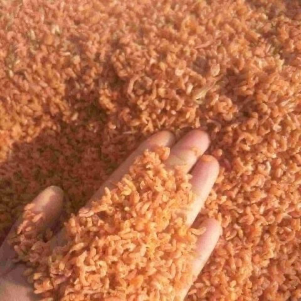 新货小海米500250克50克迷你虾米干货海虾仁干金钩海米 海鲜包邮