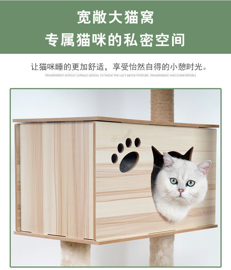 a21b6724-3ab1-413d-9105-22145e0386d3.jpe