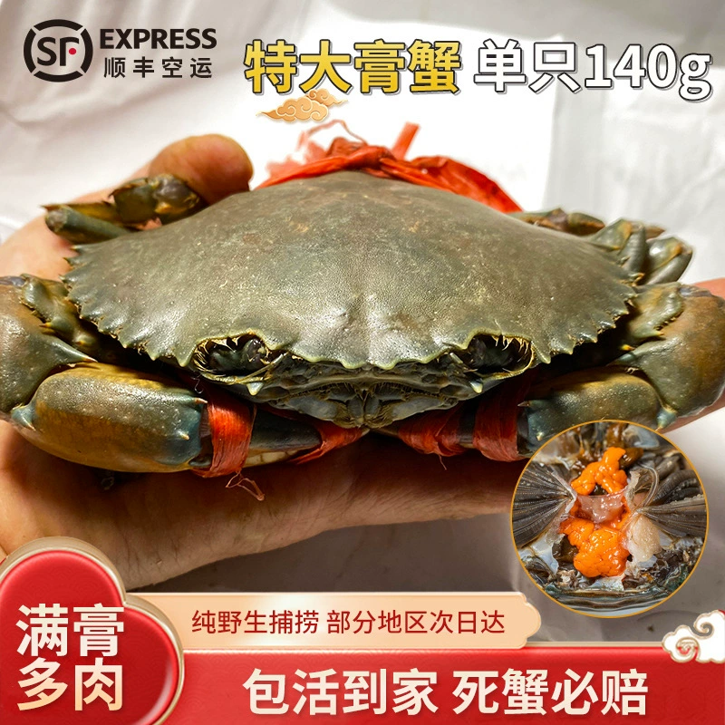 Паста из краба Бирманский самка краба, доставленная воздушным транспортом из Бангладеш, зеленая паста из краба, свежий дикий краб, 1 краб, около 140 г, пряный краб